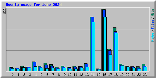 Hourly usage for June 2024