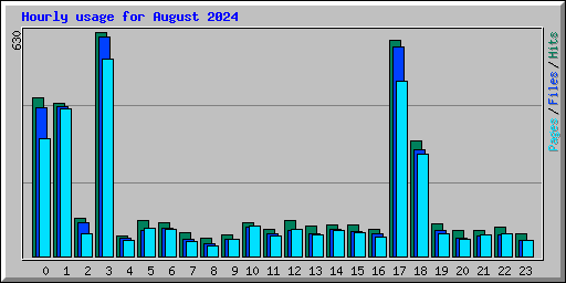 Hourly usage for August 2024