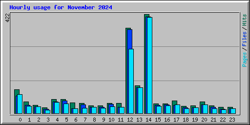 Hourly usage for November 2024