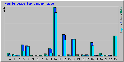 Hourly usage for January 2025