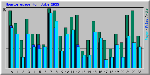 Hourly usage for July 2025