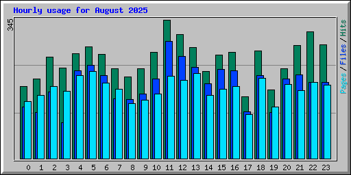 Hourly usage for August 2025