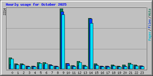 Hourly usage for October 2025