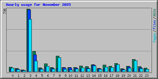 Hourly usage for November 2025