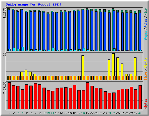 Daily usage for August 2024