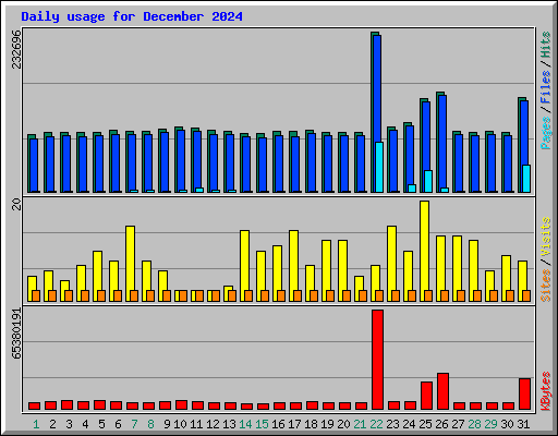 Daily usage for December 2024