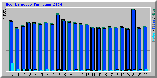 Hourly usage for June 2024