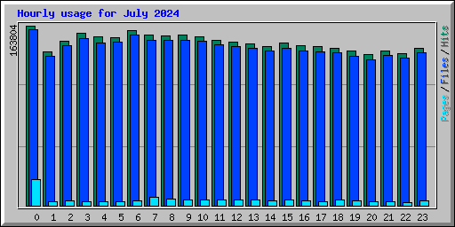 Hourly usage for July 2024