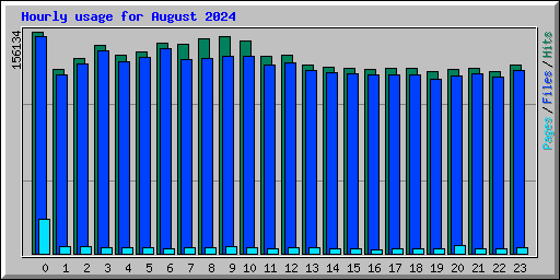 Hourly usage for August 2024