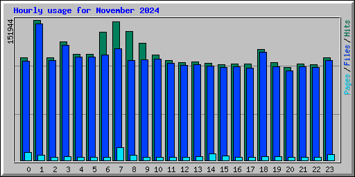 Hourly usage for November 2024