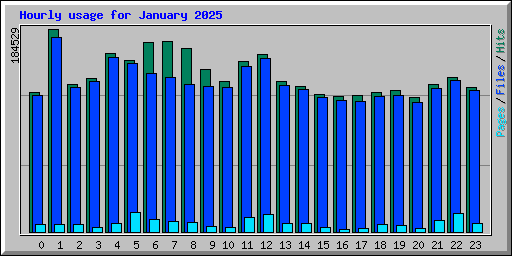 Hourly usage for January 2025