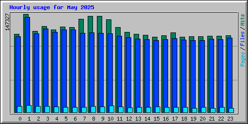 Hourly usage for May 2025