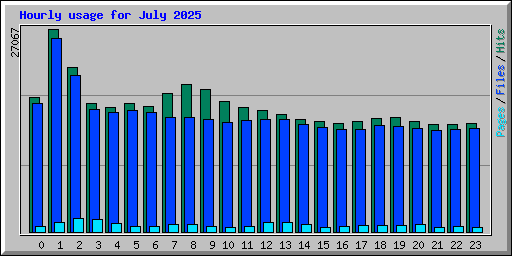 Hourly usage for July 2025
