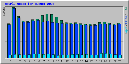 Hourly usage for August 2025