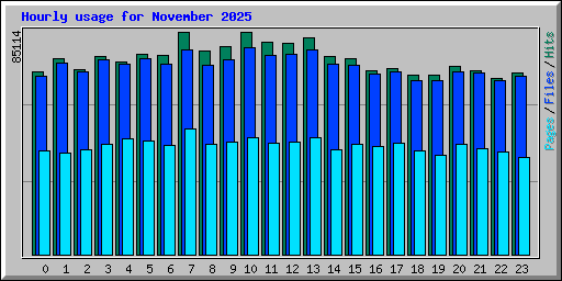 Hourly usage for November 2025
