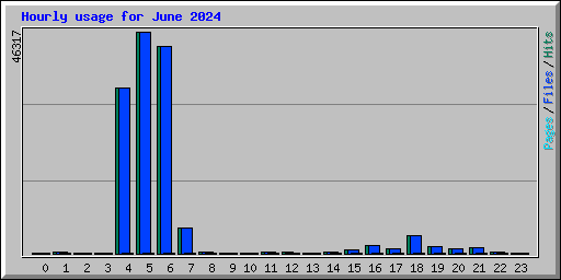 Hourly usage for June 2024