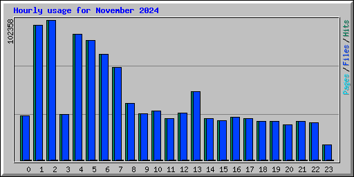 Hourly usage for November 2024