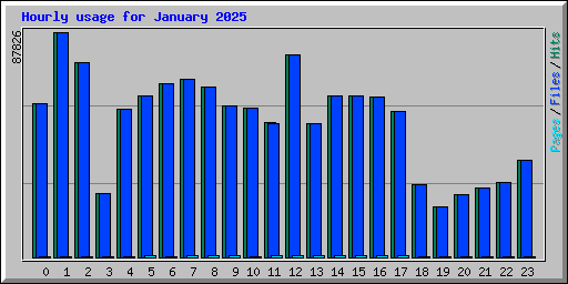 Hourly usage for January 2025