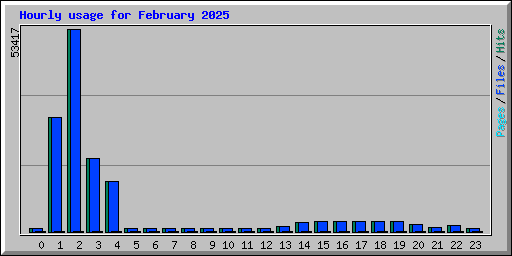 Hourly usage for February 2025