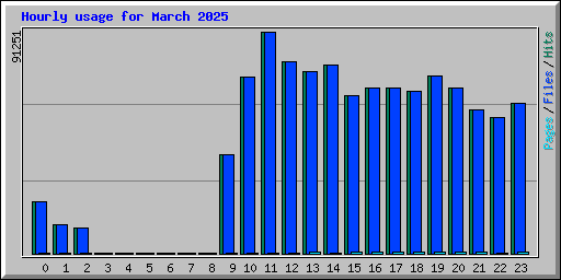 Hourly usage for March 2025