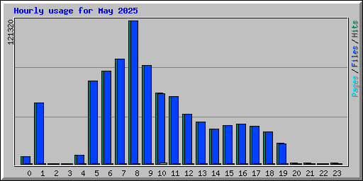 Hourly usage for May 2025