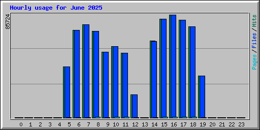 Hourly usage for June 2025