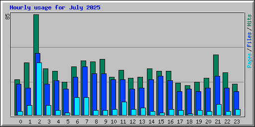 Hourly usage for July 2025