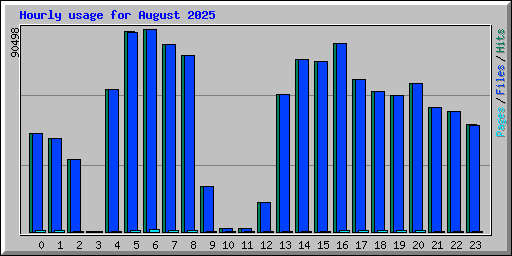 Hourly usage for August 2025