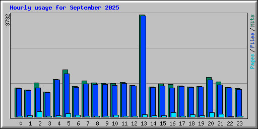 Hourly usage for September 2025