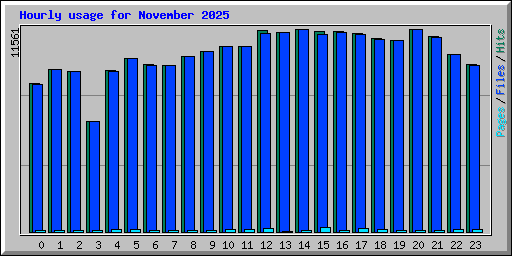 Hourly usage for November 2025